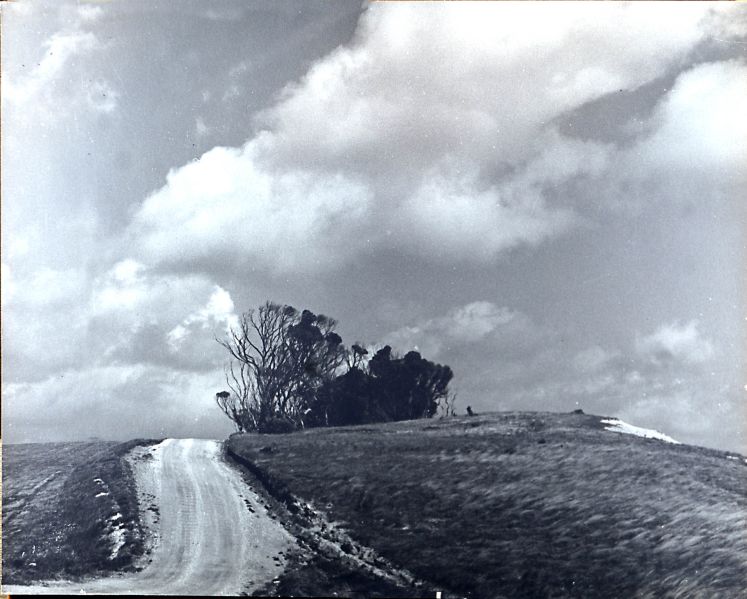 File:Country dirt road.jpg