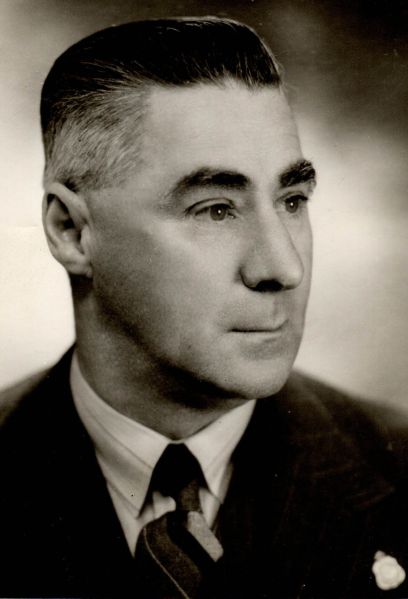 File:Portrait male.jpg