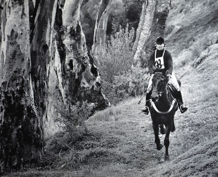 File:Cross country equestrian.jpg