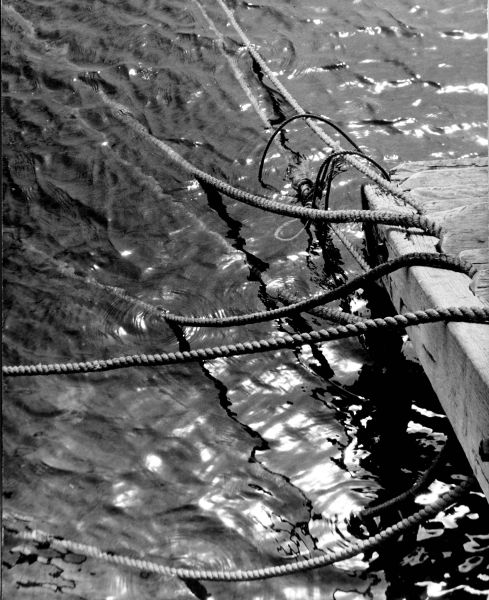 File:Mooring ropes in water.jpg