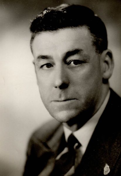 File:Portrait male 2.jpg