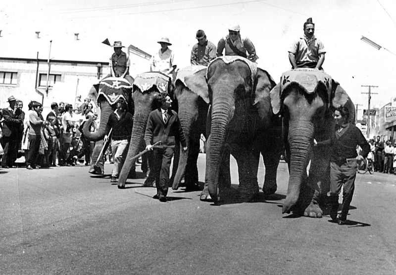 File:55058610532 3350c439c6 o (1).jpg