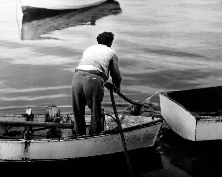 File:Grey Day , FC.jpg