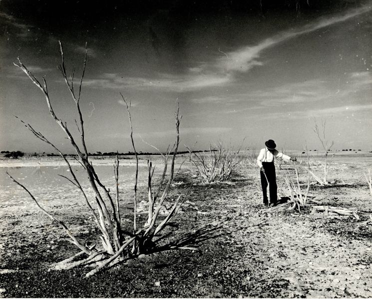 File:Man in desert lake scene.jpg