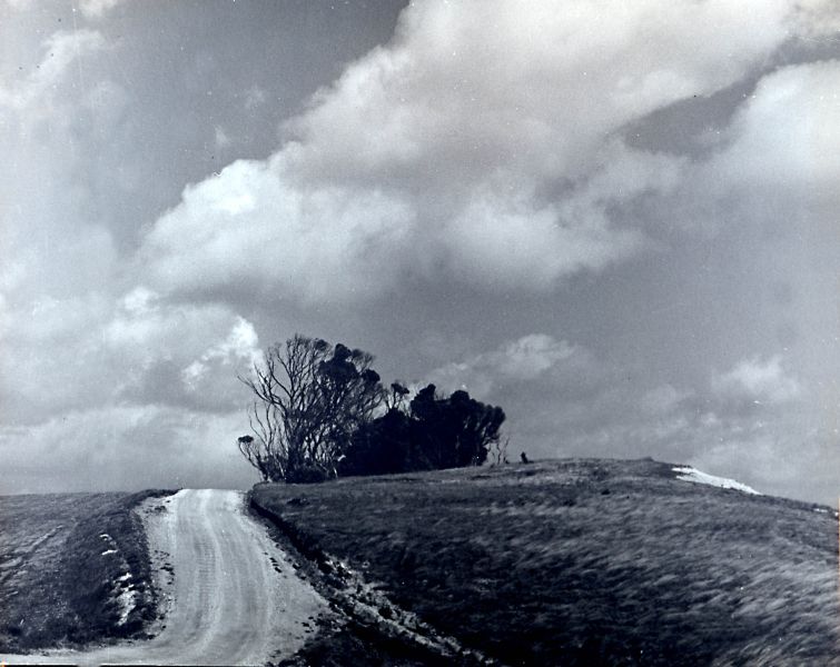 File:Dirt road uphill.jpg