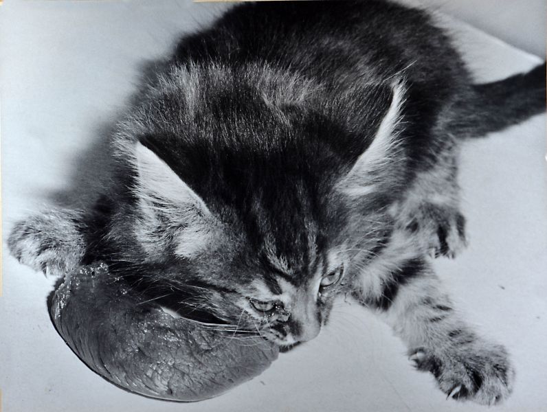 File:Finders Keepers 3-22-52.jpg