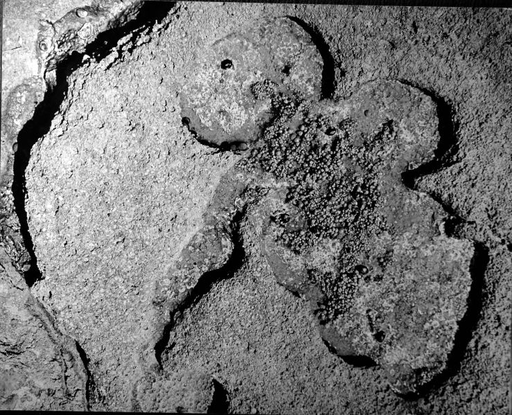 File:Gingerbread Rock FC.jpg