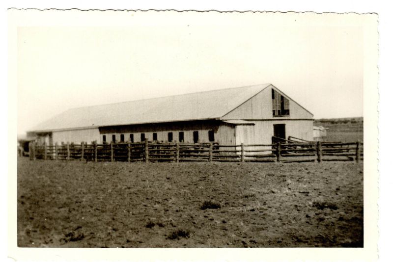 File:Unknown shearing shed.jpg